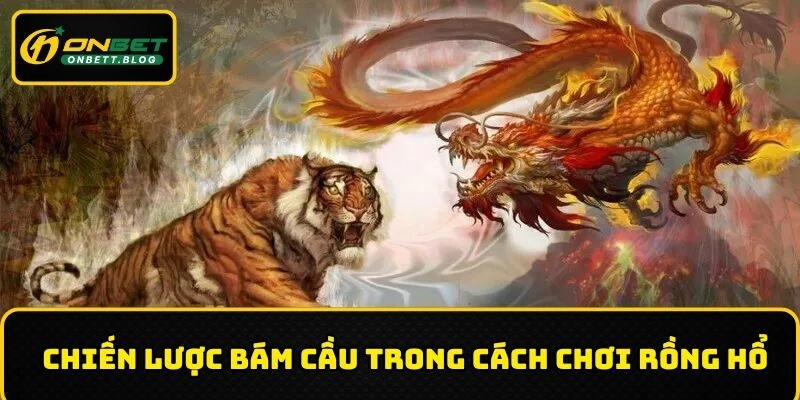 Bí thuật bám cầu trong cách chơi rồng hổ