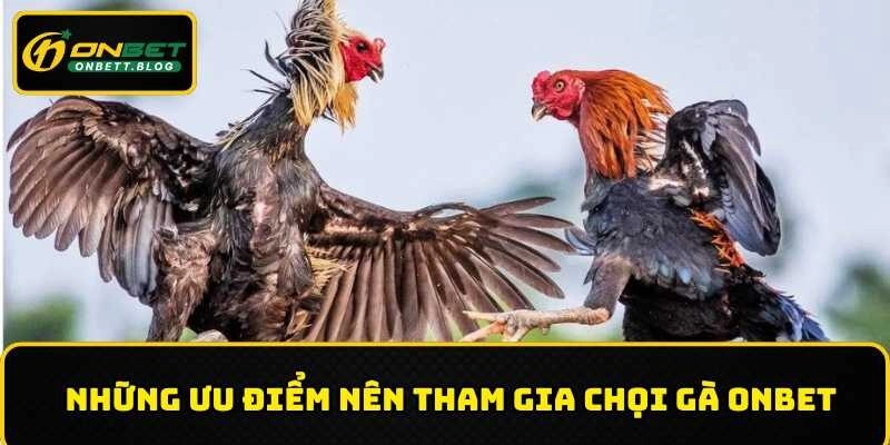 Lý do nên chọn đá gà ONBET