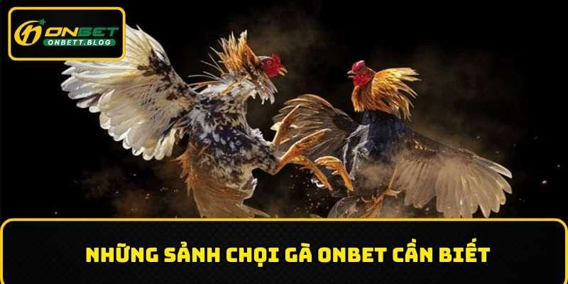 Những loại đá gà ONBET cần nắm