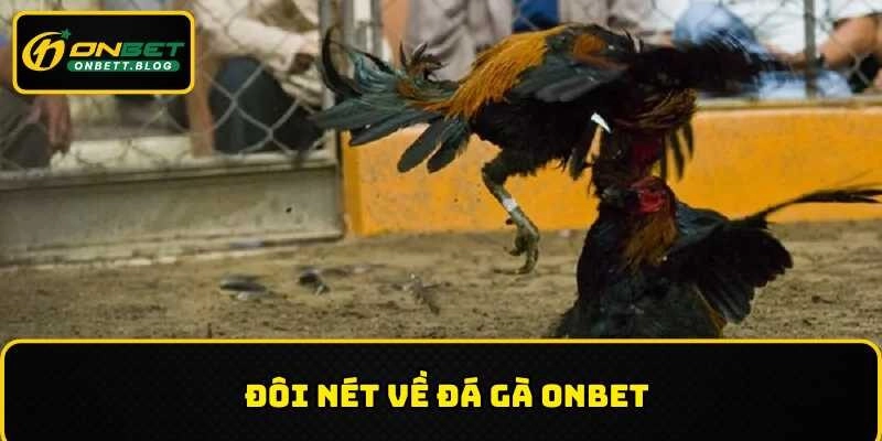 Những nét cơ bản về đá gà ONBET