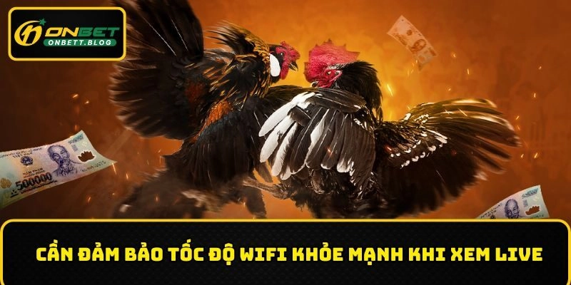 Cần đảm bảo tốc độ wifi khỏe mạnh khi xem live