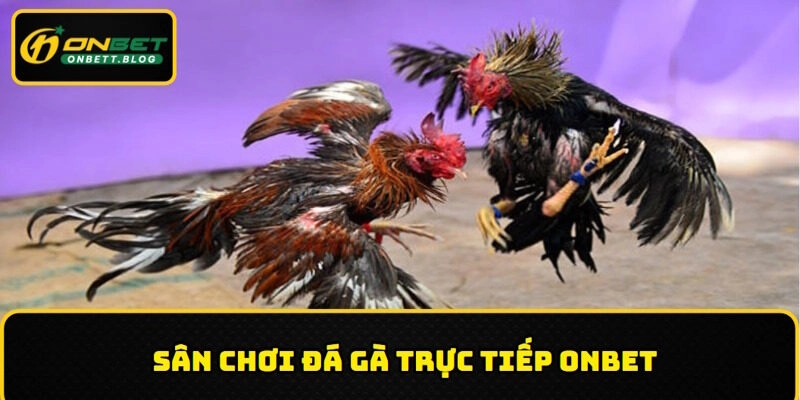 Đôi nét về đá gà trực tiếp ONBET
