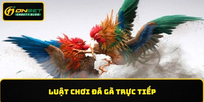 Chi tiết luật chơi đá gà trực tiếp ONBET